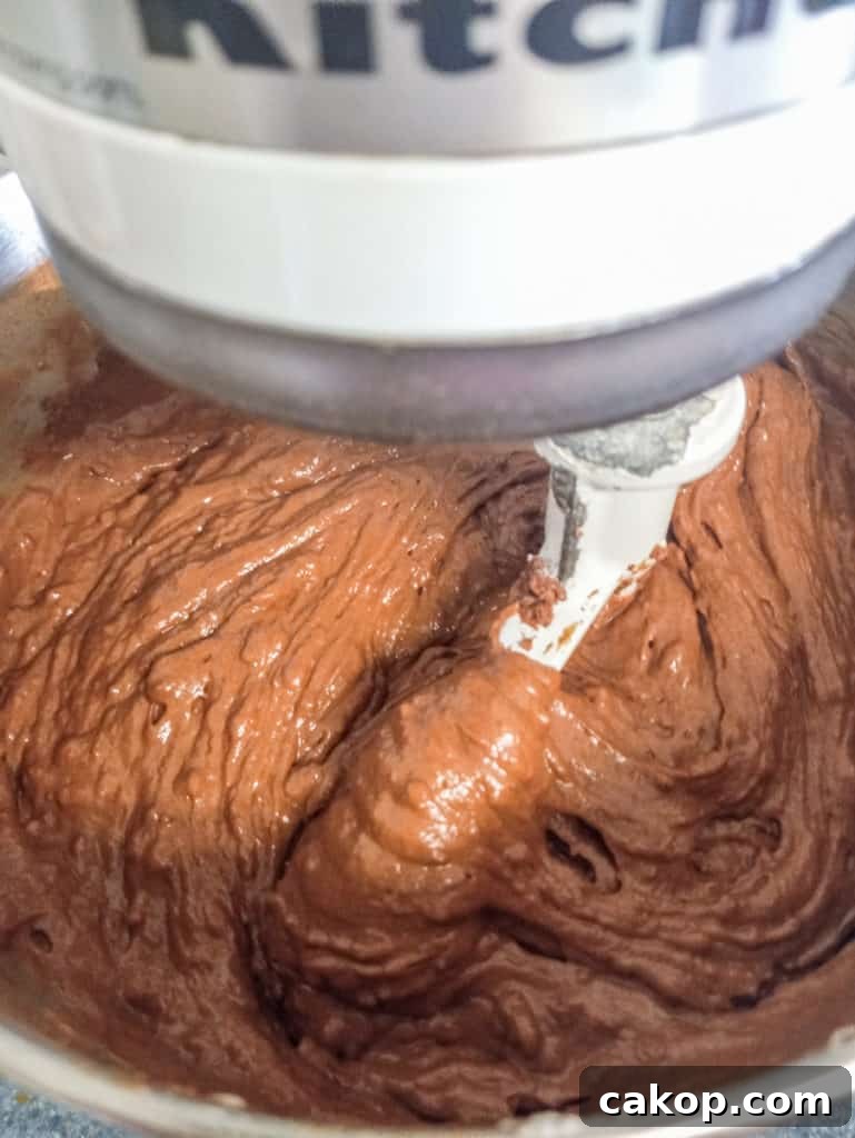 Amish Chocolate Whoopie Pies Recipe — Classic Soft Sandwich Cakes 2 mixing chocolate cookie batter with my kitchen Aid mixer.