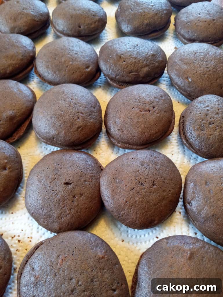 Amish Chocolate Whoopie Pies Recipe — Classic Soft Sandwich Cakes 5 chocolate cookies in pairs ready for frosting.