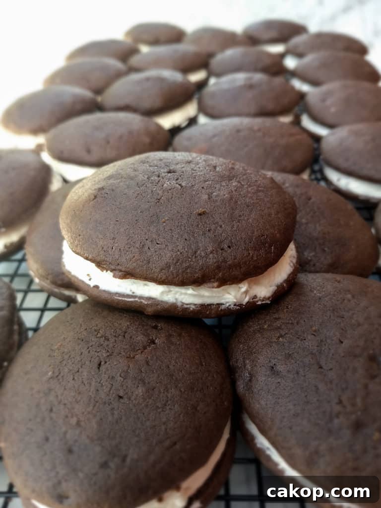 Amish Chocolate Whoopie Pies Recipe — Classic Soft Sandwich Cakes 9 chocolate whoopie pies with light vanilla filling on a wire rack.