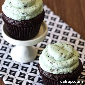 two mint chocolate chip cupcakes
