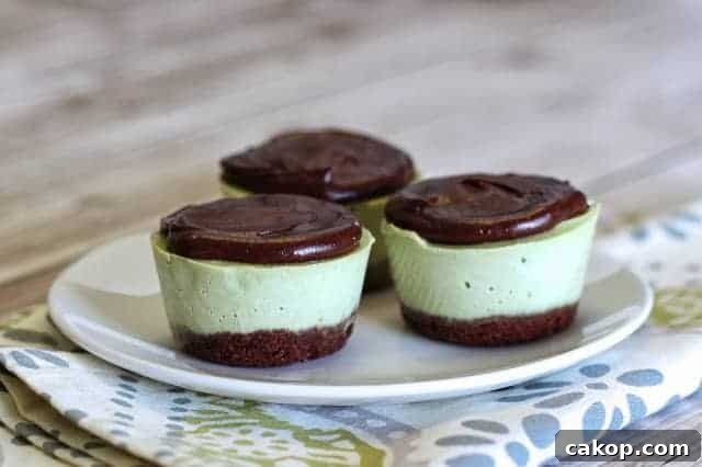 mini mint chocolate cheesecakes