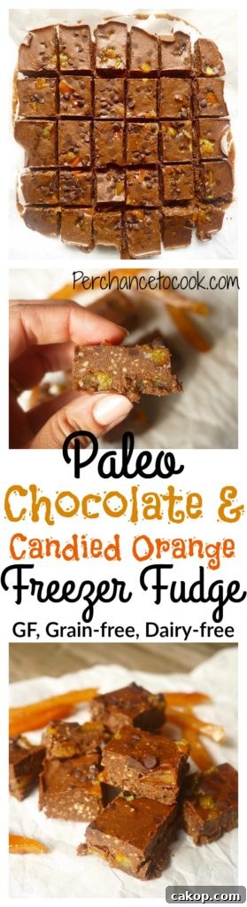 Paleo Chocolate and Candied Orange Peel Freezer Fudge (GF)- sophisticated, flavorful, Paleo dessert |Perchance to Cook, www.perchancetocook.com