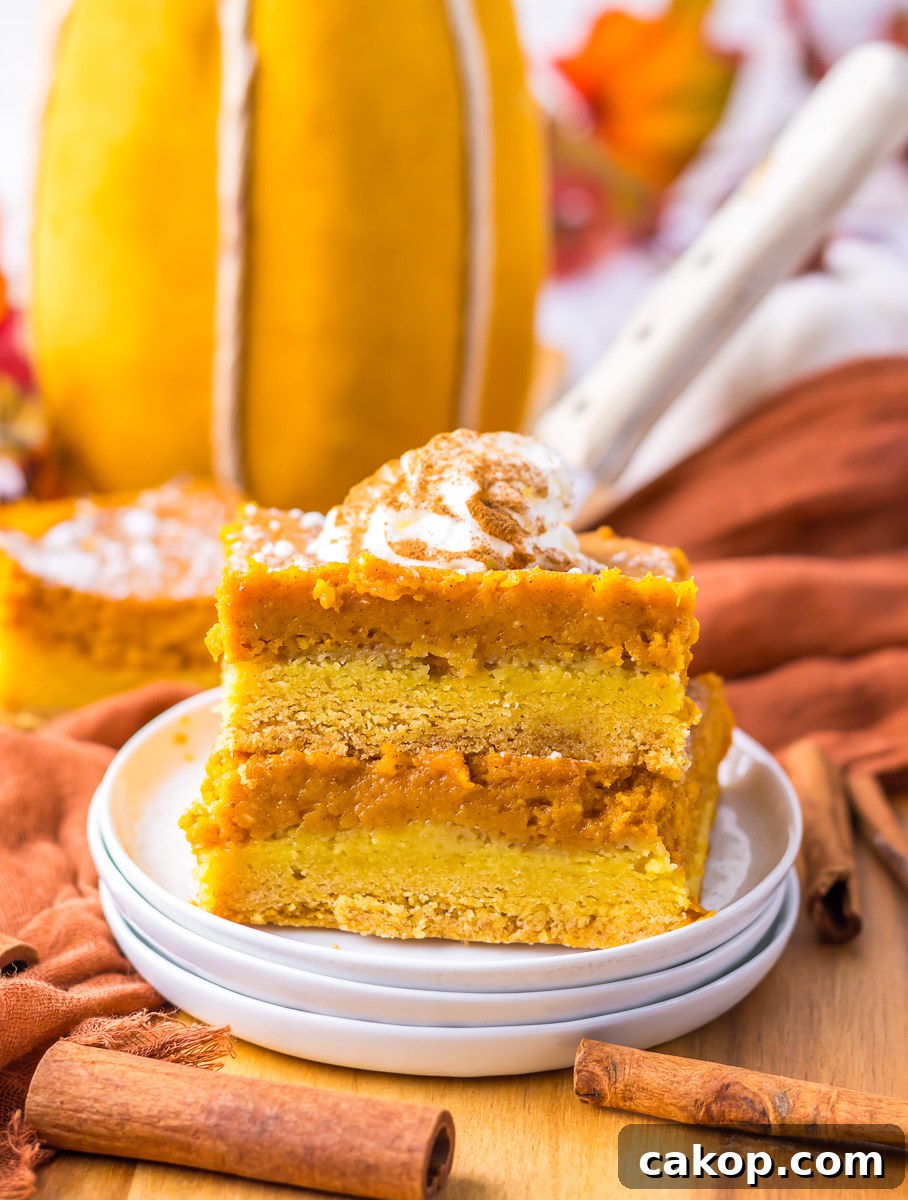 Pumpkin Gooey Butter Cake Recipe — Decadent Autumn Dessert 4 Side view of two pieces of pumpkin gooey butter cake stacked on a white plate.