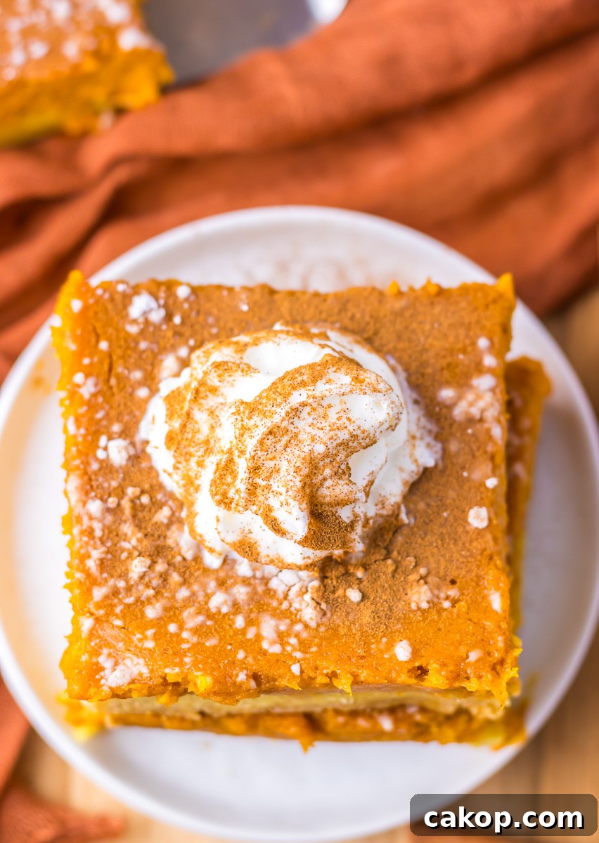 Pumpkin Gooey Butter Cake Recipe — Decadent Autumn Dessert 6 Overhead view of pumpkin gooey butter cake topped with whip cream and cinnamon.