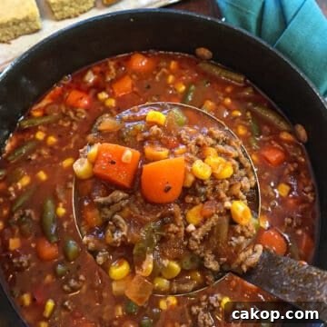 cooked soup in large pot with ladle of soup