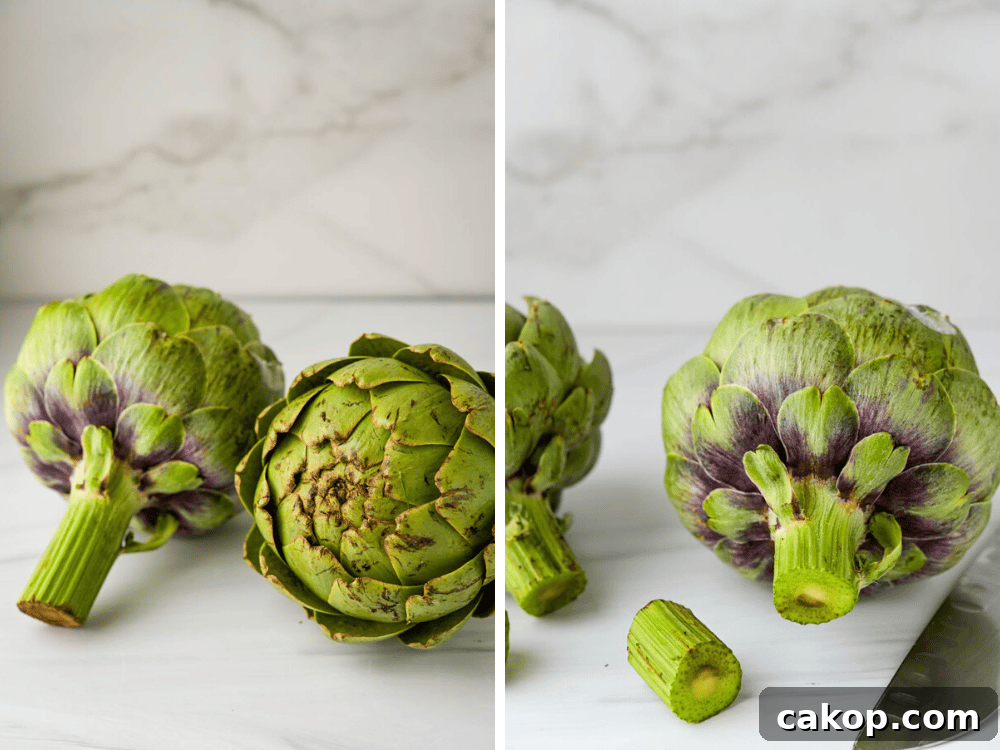 Trimming the stems from two globe artichokes .
