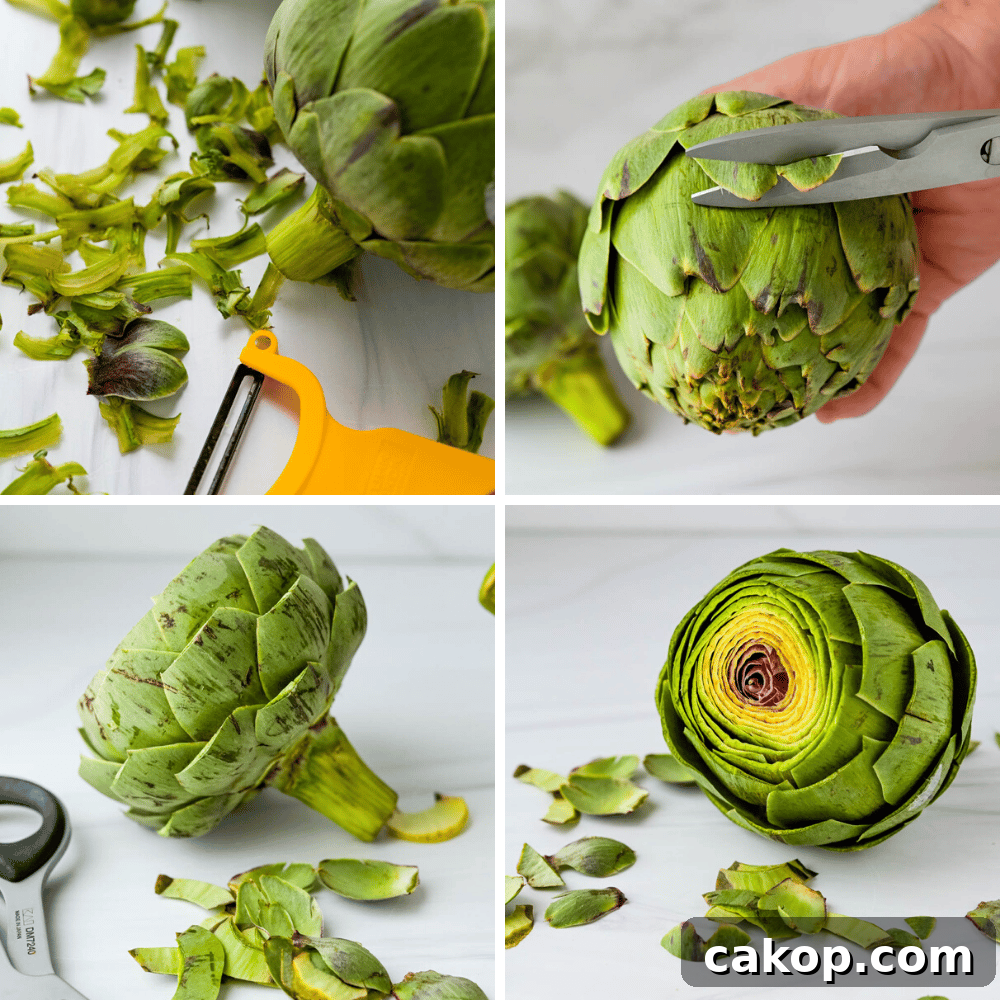 Peeling the stems, trimming the petals  and cutting the top inch from the globe artichokes.
