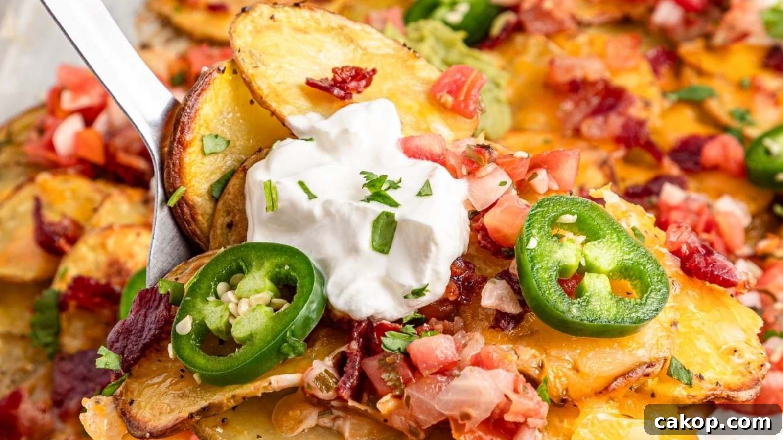 A serving of loaded potato nachos topped with melted cheese, sour cream, chopped tomatoes, bacon bits, jalapeño slices, and fresh herbs.