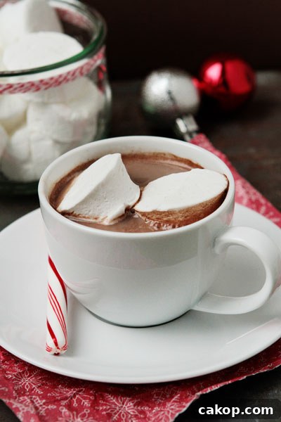 Hot Cocoa in Cup