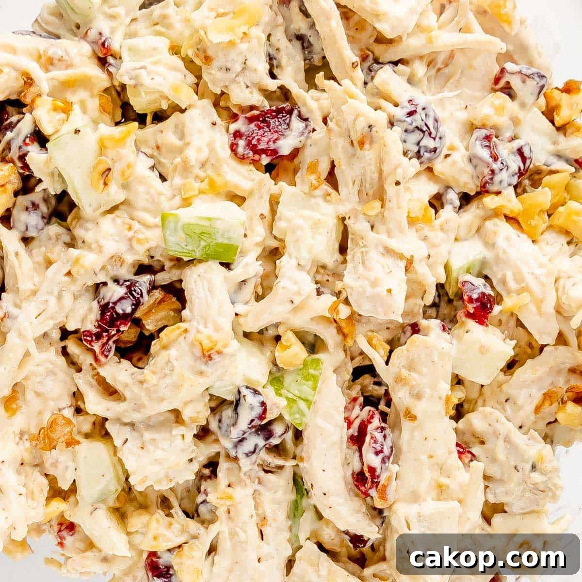 Classic Cape Cod Chicken Salad Recipe with Cranberries & Pecans 6 Close-up of a chicken salad with chopped celery, walnuts, cranberries, and creamy dressing.