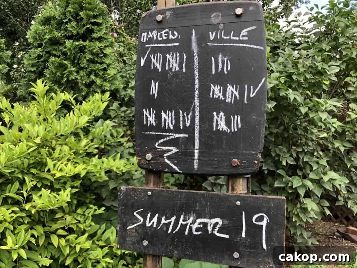 Weekend Weather: Garden Party Plans & Cornhole Forecast 7 Our score tower.