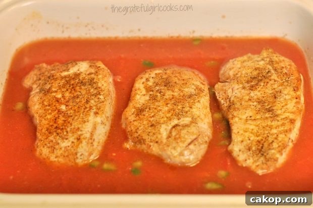 Seared pork chops are placed on top of tomato/rice mixture in baking dish.