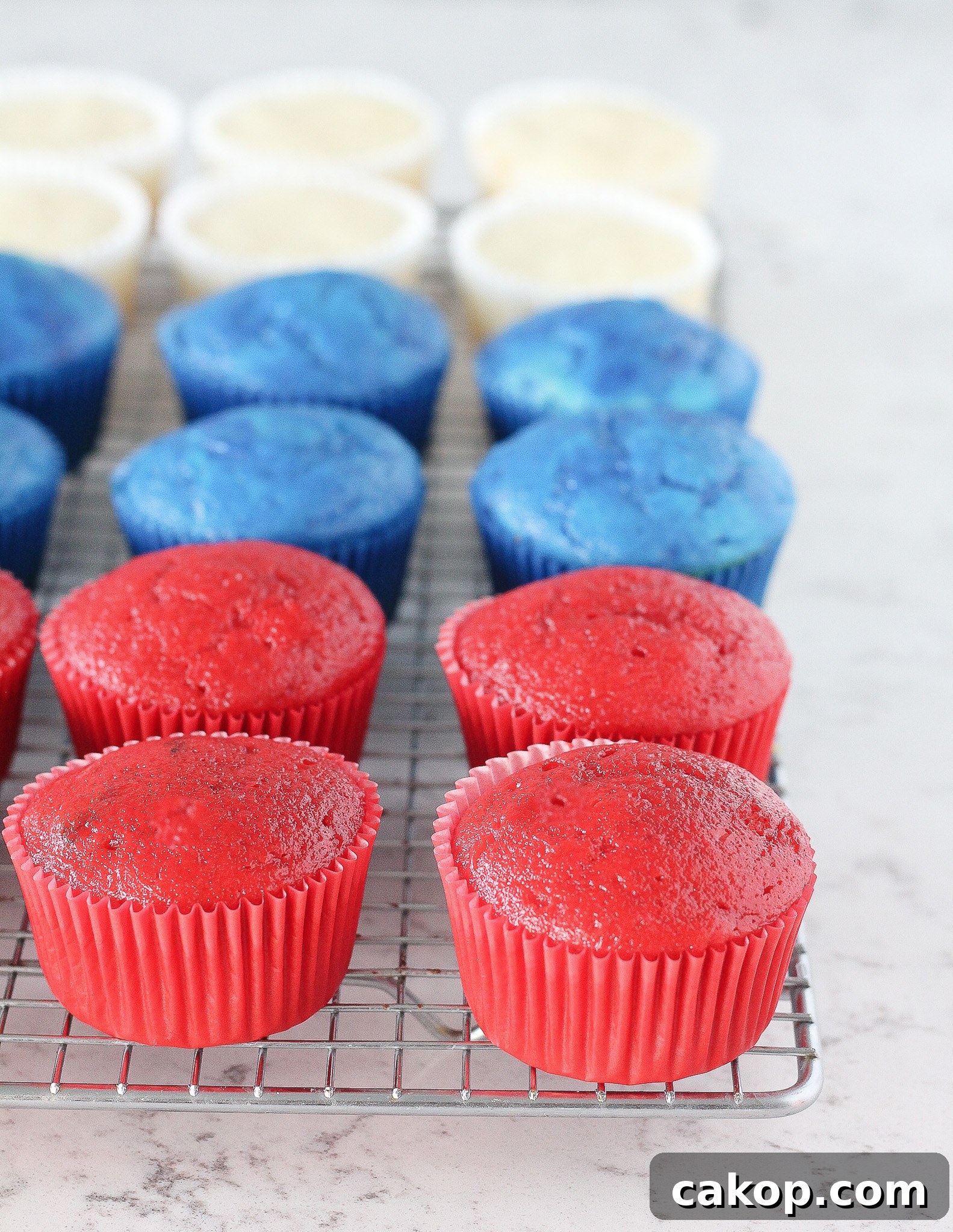 Cupcakes ready to decorate