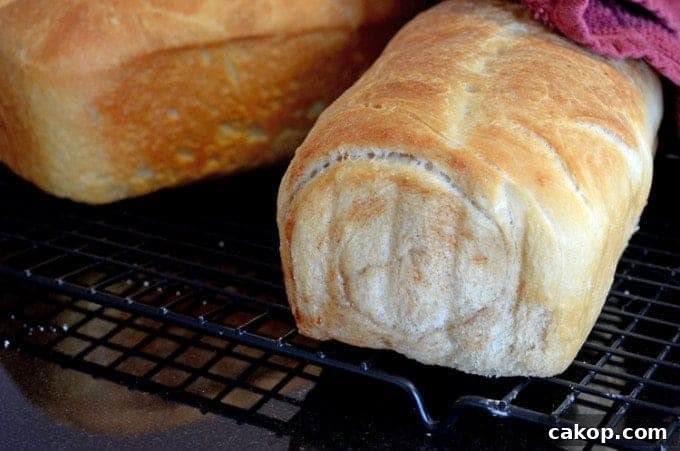 A loaf of homemade bread