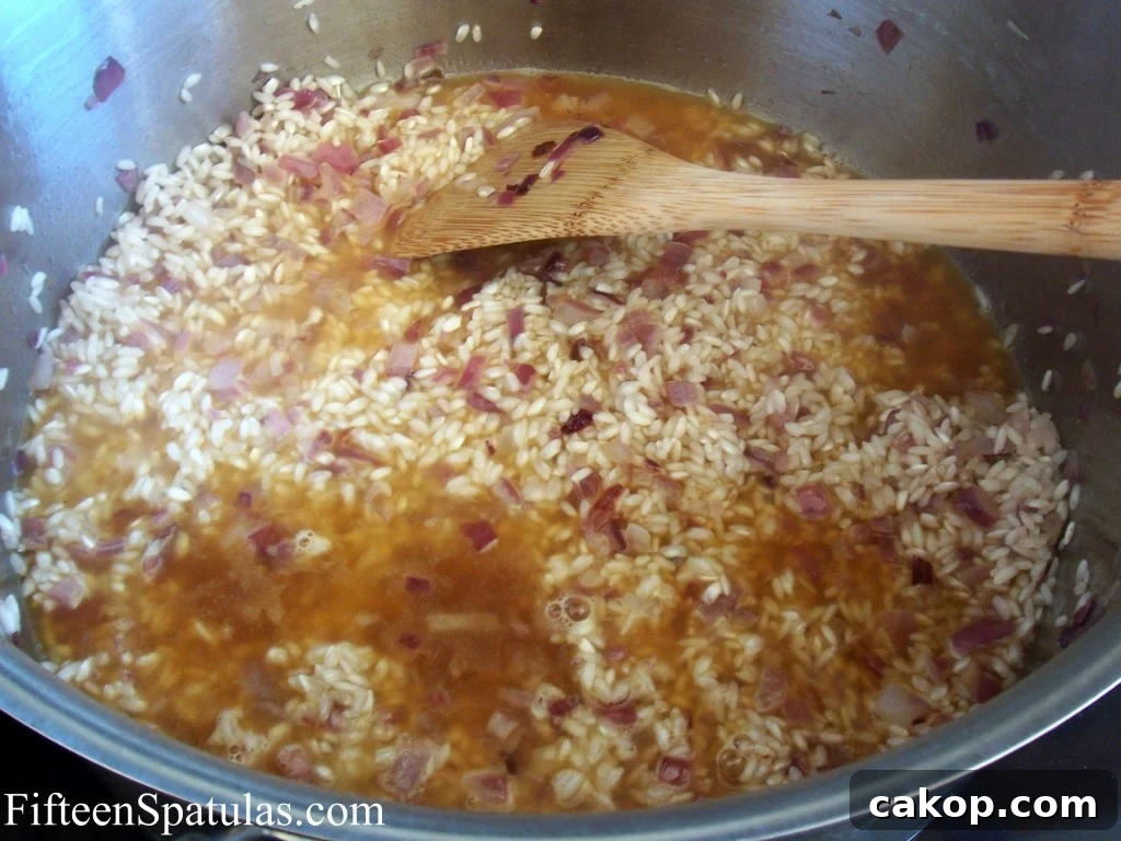 Cooking Arborio Rice in Stockpot with Red Onion