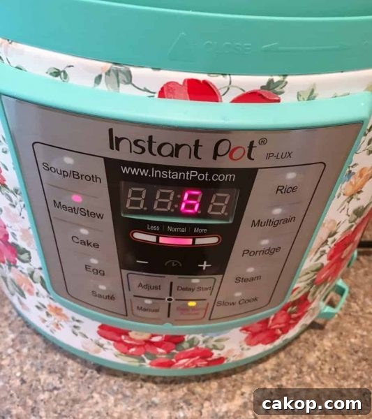 Instant Pot 