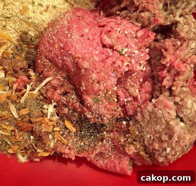 Hamburger with seasonings