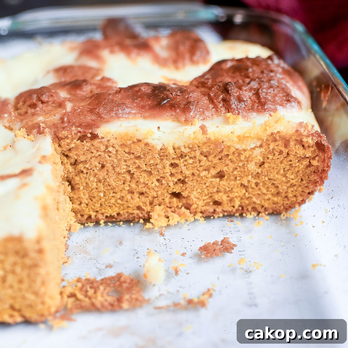 looking into a pan of cut pumpkin bars.