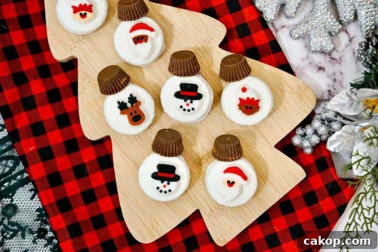 Image for 5 Minute Ornament Cookies