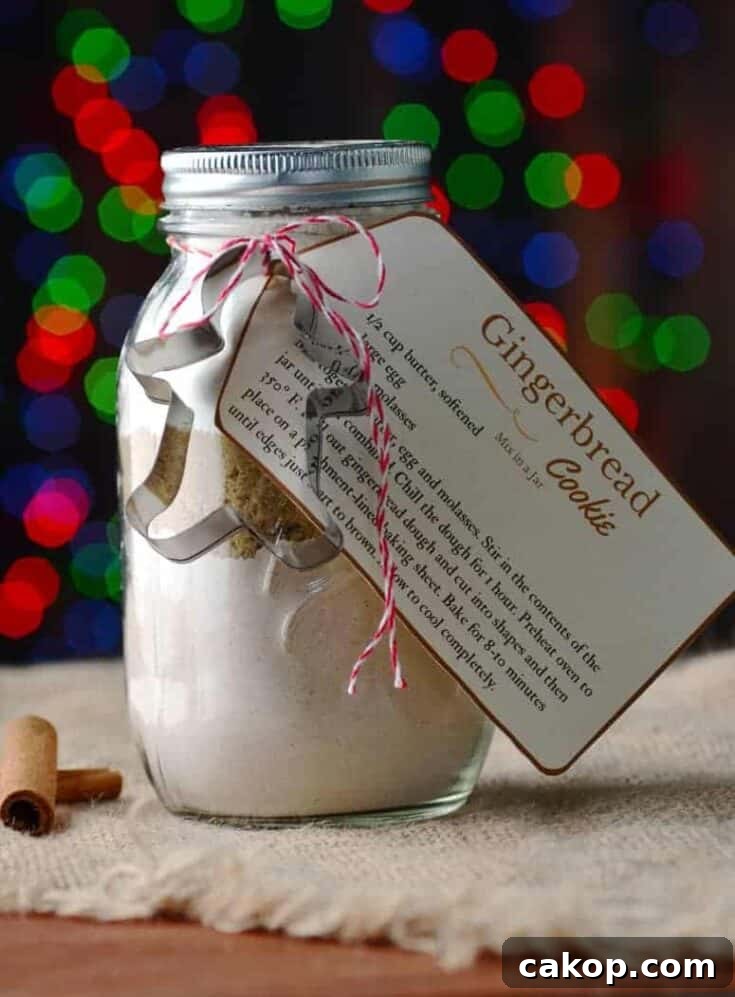 Image for Gingerbread Cookie Mix in a Jar