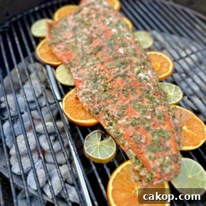 Lemon Chimichurri Salmon with Garlic and Fresh Herbs 10 Recipe image