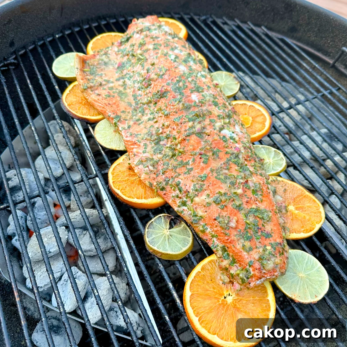 Lemon Chimichurri Salmon with Garlic and Fresh Herbs 5 Grilled salmon with chimichurri