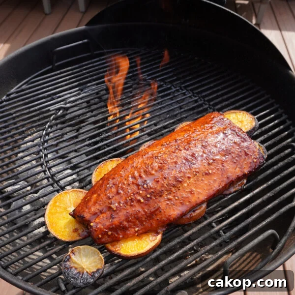 Lemon Chimichurri Salmon with Garlic and Fresh Herbs 8 Citrus salmon on the grill