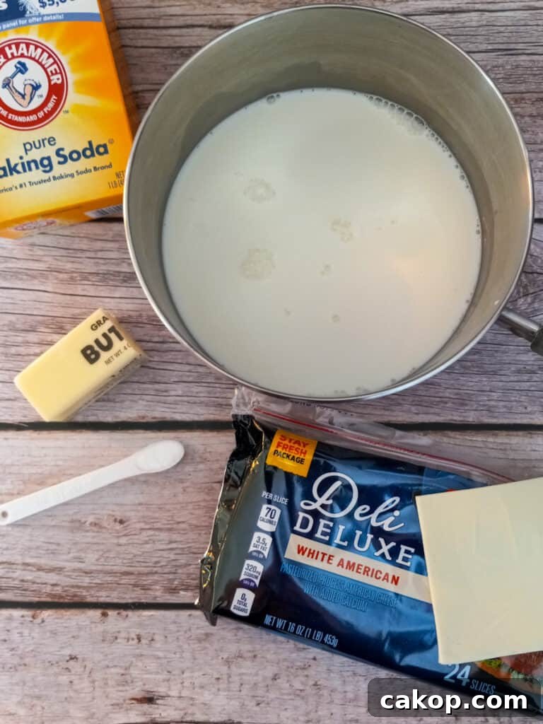 Authentic Amish Cup Cheese Spread Recipe 2 milk in pot, cheese slices, butter, salt, and baking soda