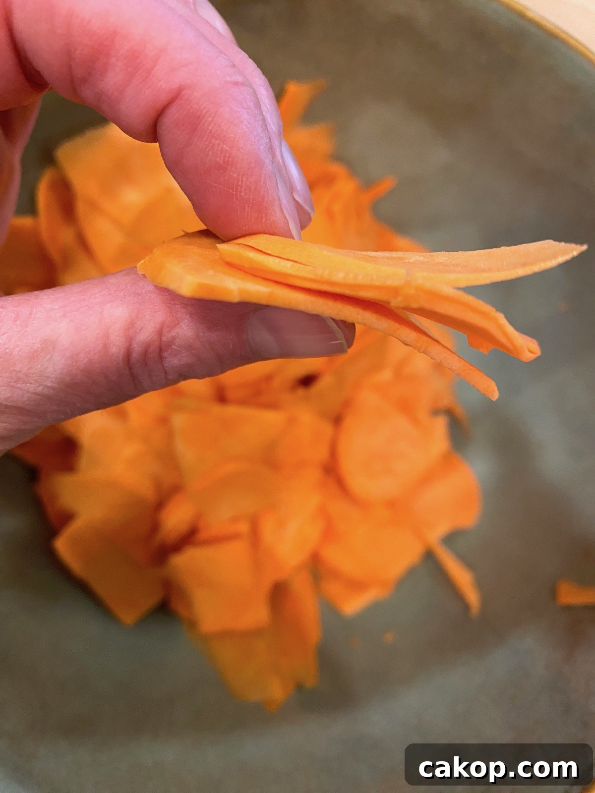 Sweet Potato Lasagna Recipe with Creamy Ricotta and Spinach 13 A hand holding sliced sweet potatoes, sliced very thin.